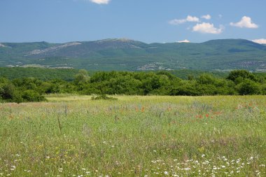 Dağ vadisi