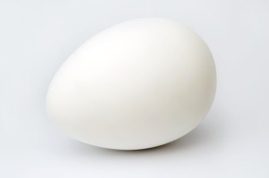 White egg clipart