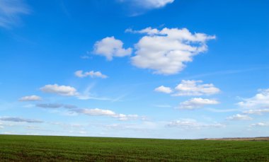 Clouds over the green field clipart