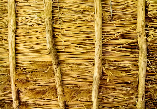 Texture of a thatched roof — Stock Photo, Image