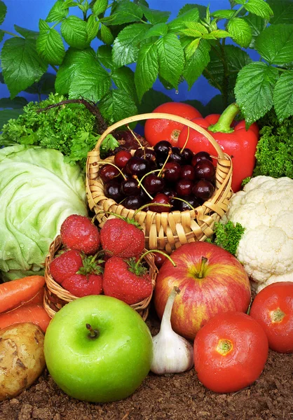 과일 및 야채 — 스톡 사진