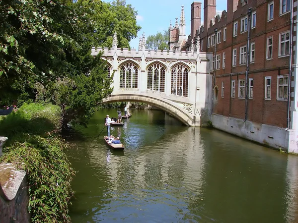 Punting em Cam a partir de Cambridge — Fotografia de Stock