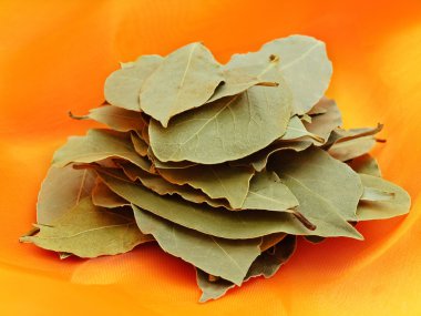 Bay leaves clipart