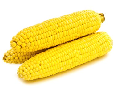 Corns clipart
