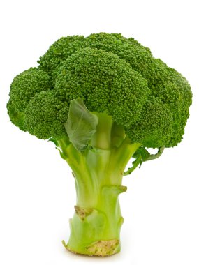 Broccoli clipart