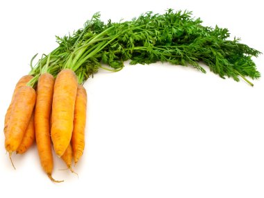 Carrots clipart