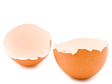 Eggshell clipart