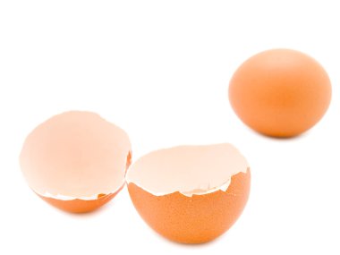 Egg and shell clipart