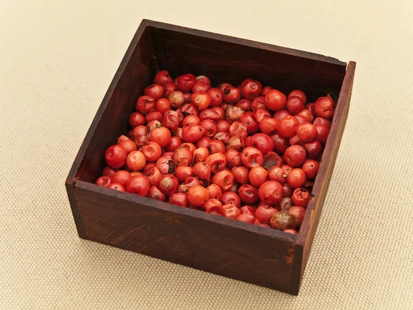 Семена красного перца — стоковое фото