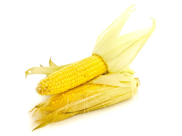 Corns — Stock Photo, Image