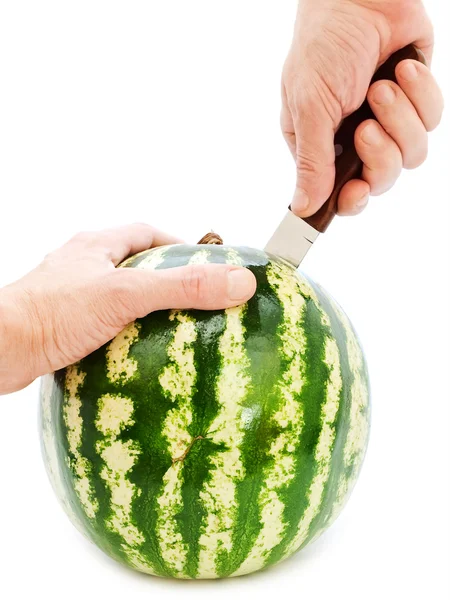 Cutting melon — Stock Photo, Image