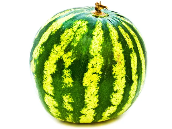 Stor melon — Stockfoto