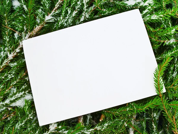 Winter template — Stock Photo, Image
