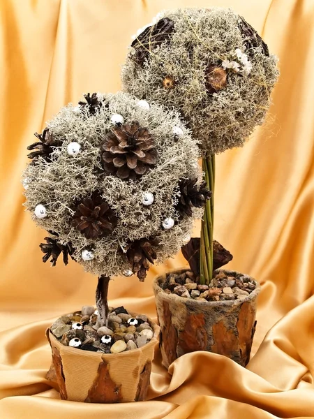 Decoratieve bomen — Stockfoto