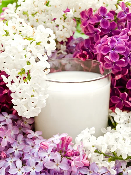 Lilac flower and milk — Stock Photo, Image