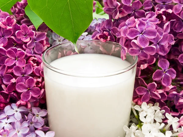 Lilac flower and milk — Stock Photo, Image