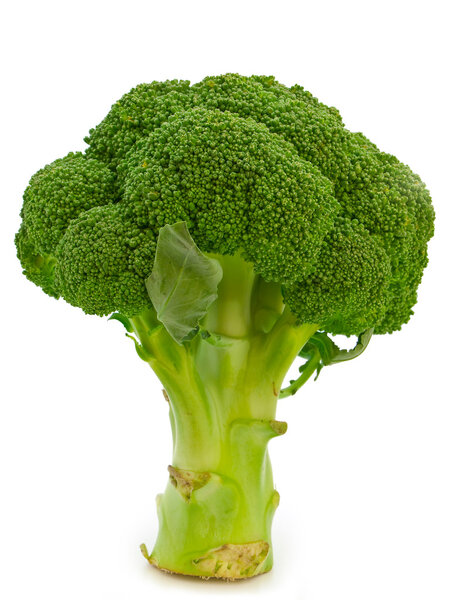 Broccoli