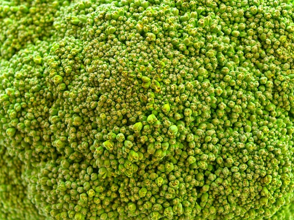 Broccoli sfondo — Foto Stock