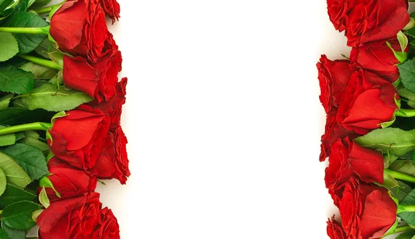 红玫瑰边框 — 图库照片