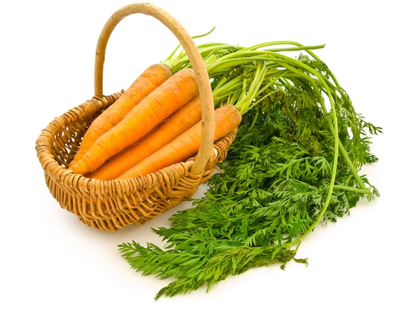 Carrots in a basket — Stock Photo, Image