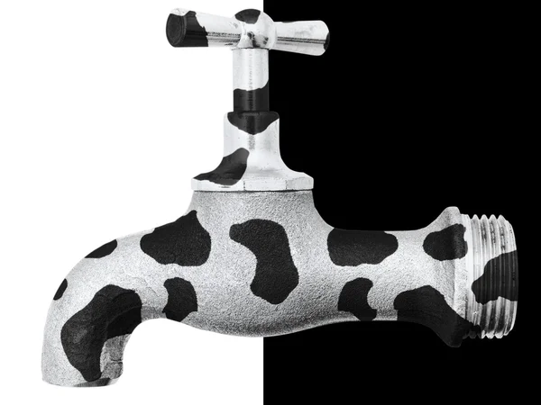 Αγελάδα βρύσης — Φωτογραφία Αρχείου