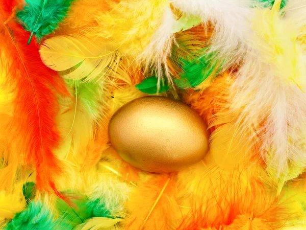 Egg in feathers — Stock Photo, Image