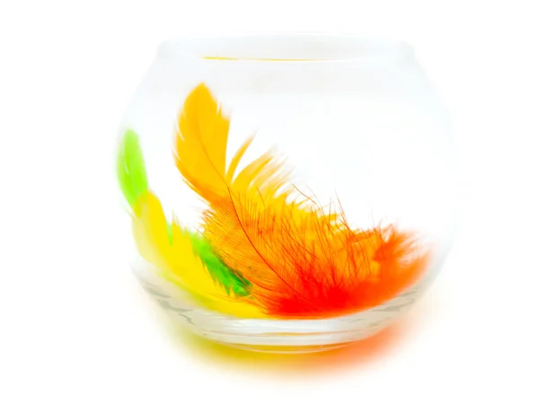 Feathers in the glass — Stock Photo, Image