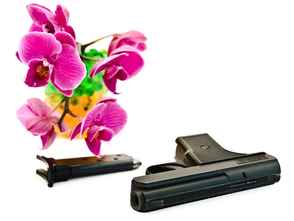 Розовая орхидея и пистолет — стоковое фото