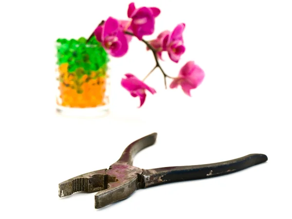 Pinces anciennes et orchidée rose — Photo