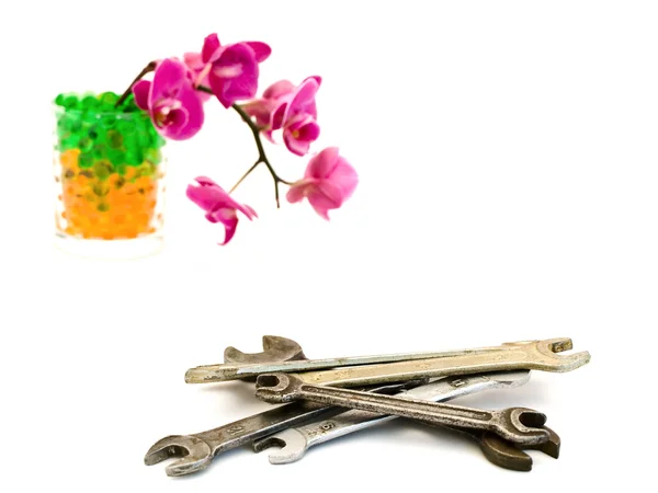 Spanners and pink orchid — Stock Photo, Image