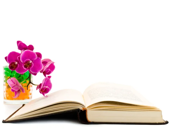 Libro abierto y orquídea — Foto de Stock