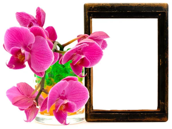 Orquídea rosa e moldura de madeira — Fotografia de Stock