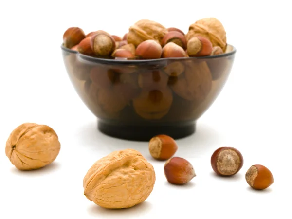 Орехи и грецкие орехи — стоковое фото