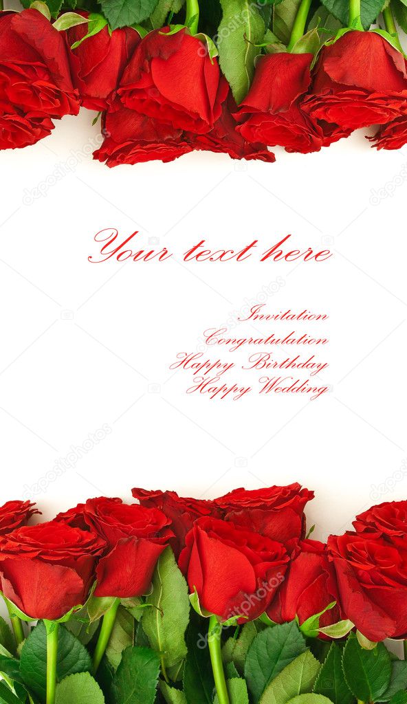 Red roses border