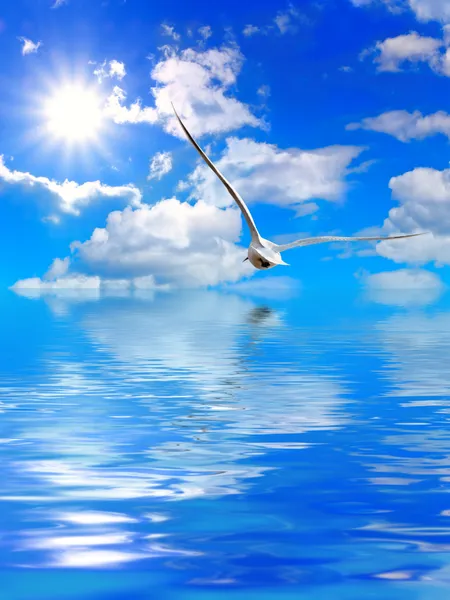 Seagull under water — Stock Photo, Image