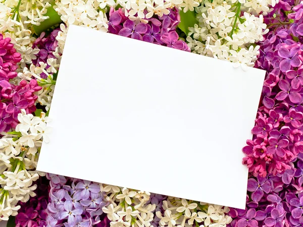 Lilac background with invitation — Stock Photo, Image