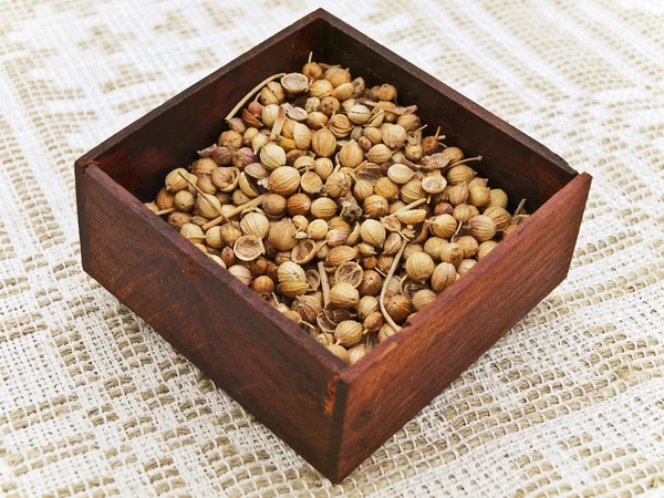 Stock image Coriander seeds