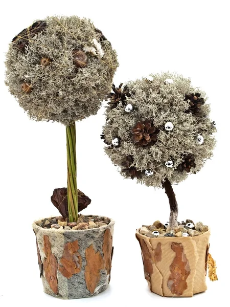 Decoratieve handgemaakte bomen — Stockfoto