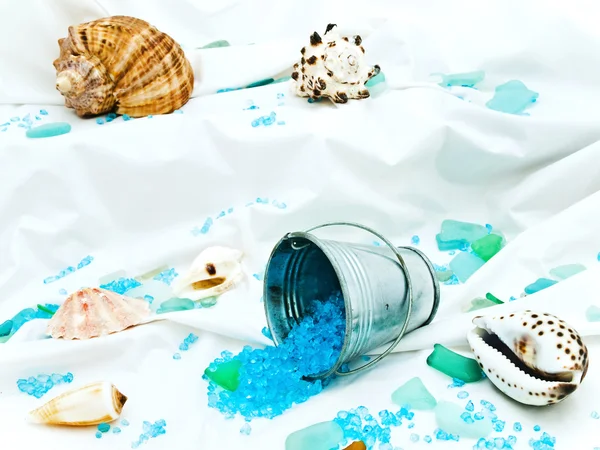 Decoratieve zeeleven — Stockfoto