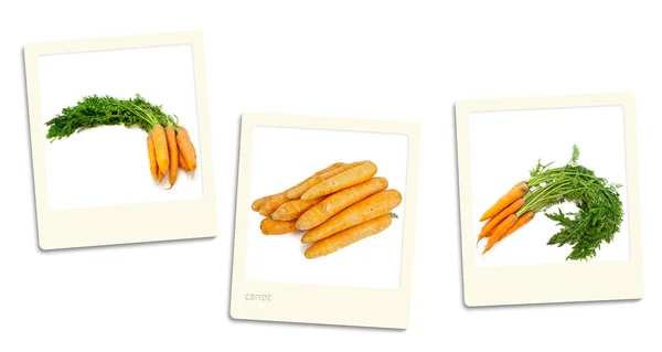 stock image Carrot photos