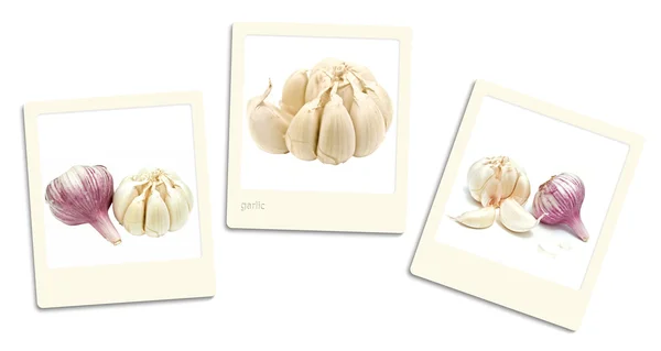 Garlic photos — Stock Photo, Image