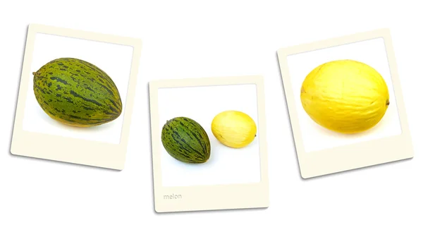 Melone foto — Foto Stock