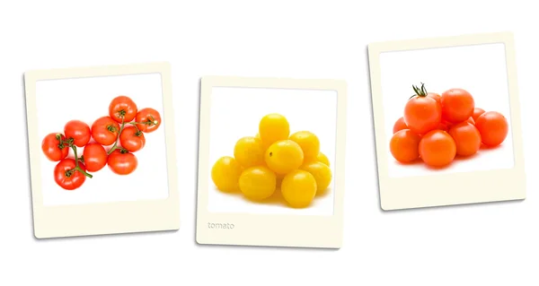 Pomidor Zdjęcia — Zdjęcie stockowe