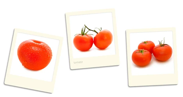 Фотографии помидоров — стоковое фото