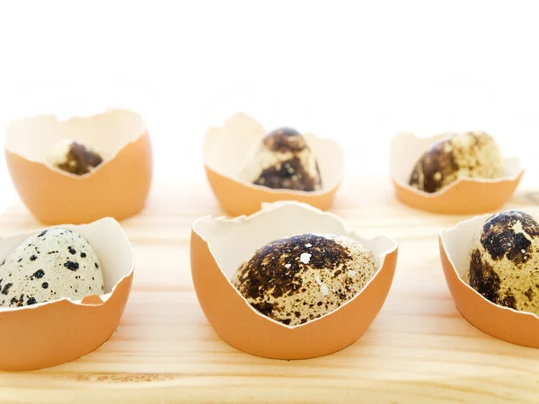 메 추 라 기 달걀 — 스톡 사진