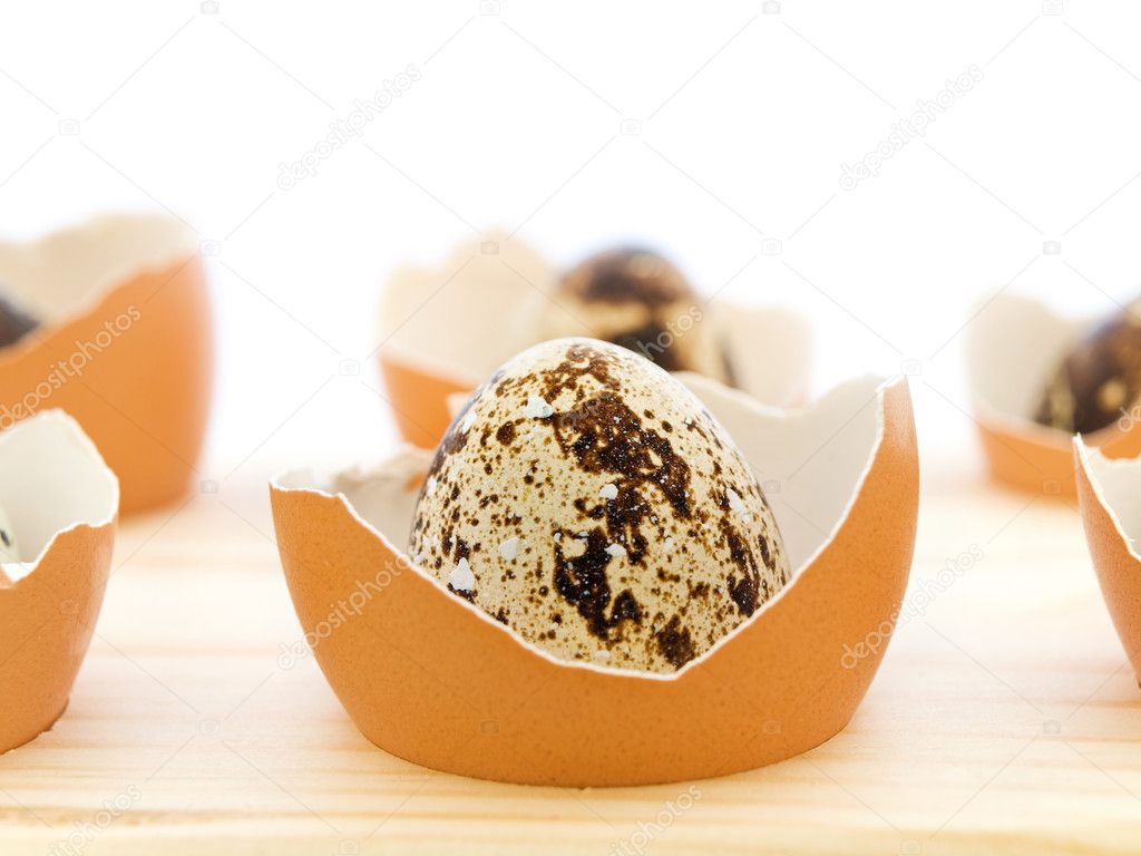 Quail egg
