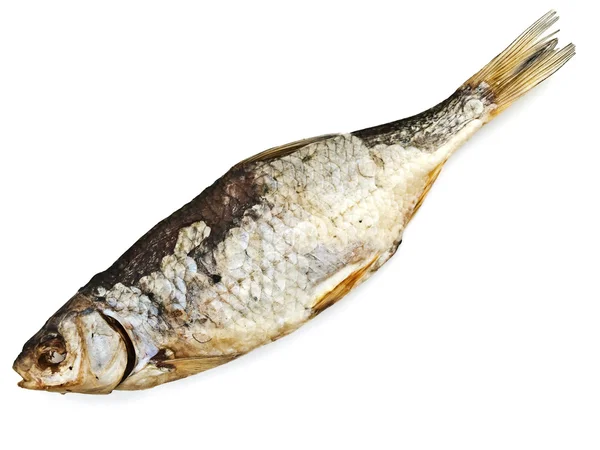 Dry fish — Stock Photo, Image