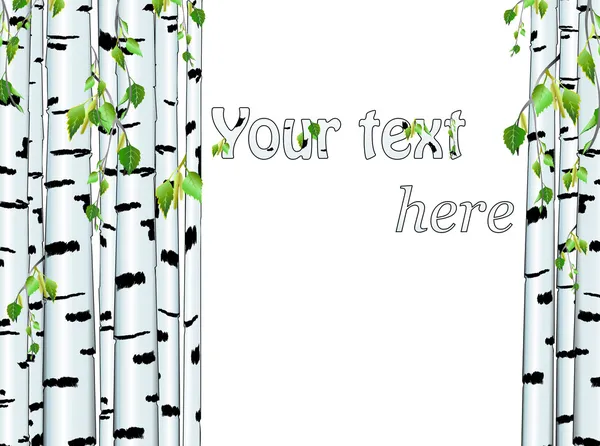 白桦树干帧 — 图库矢量图片
