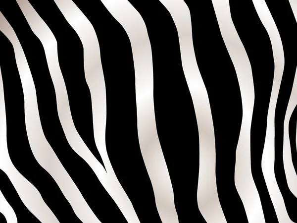 Abgestreiftes Zebra Hintergrund — Stockvektor