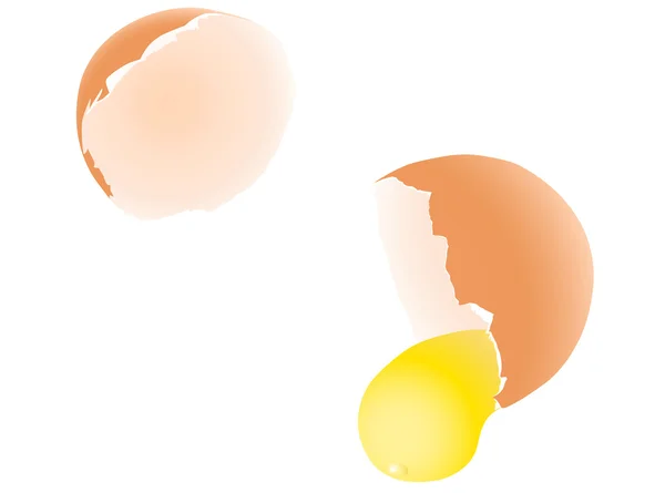 Broken egg — Stock Vector